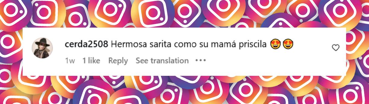Comentario de una seguidora | Fuente: Instagram/sarapangel