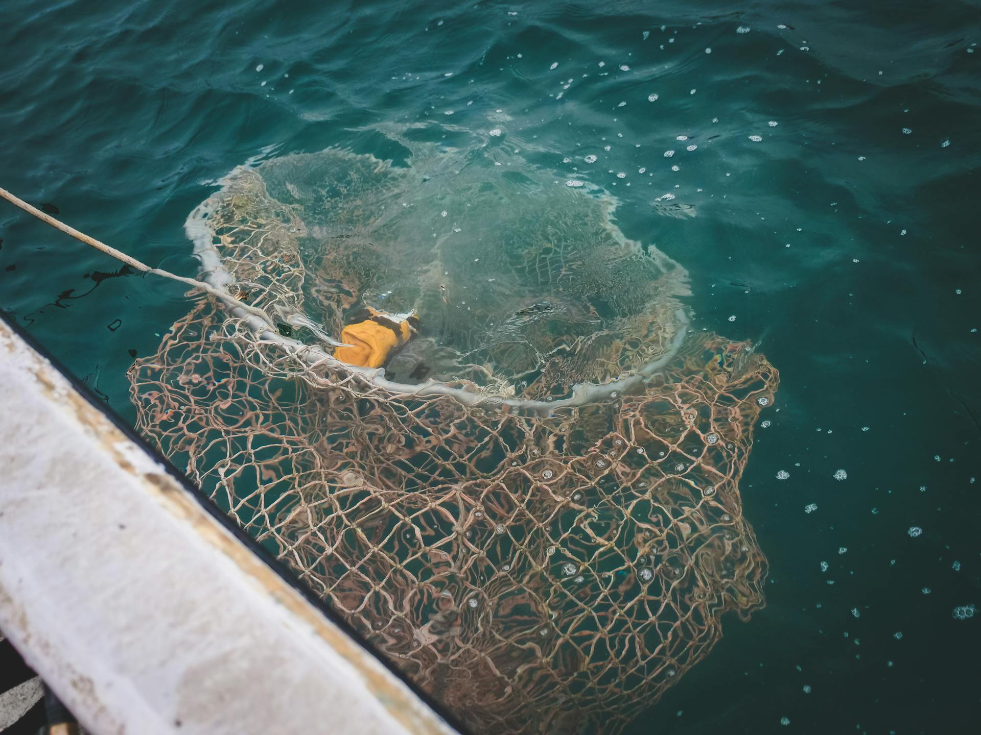 Una red de pesca en el agua | Fuente: Pexels