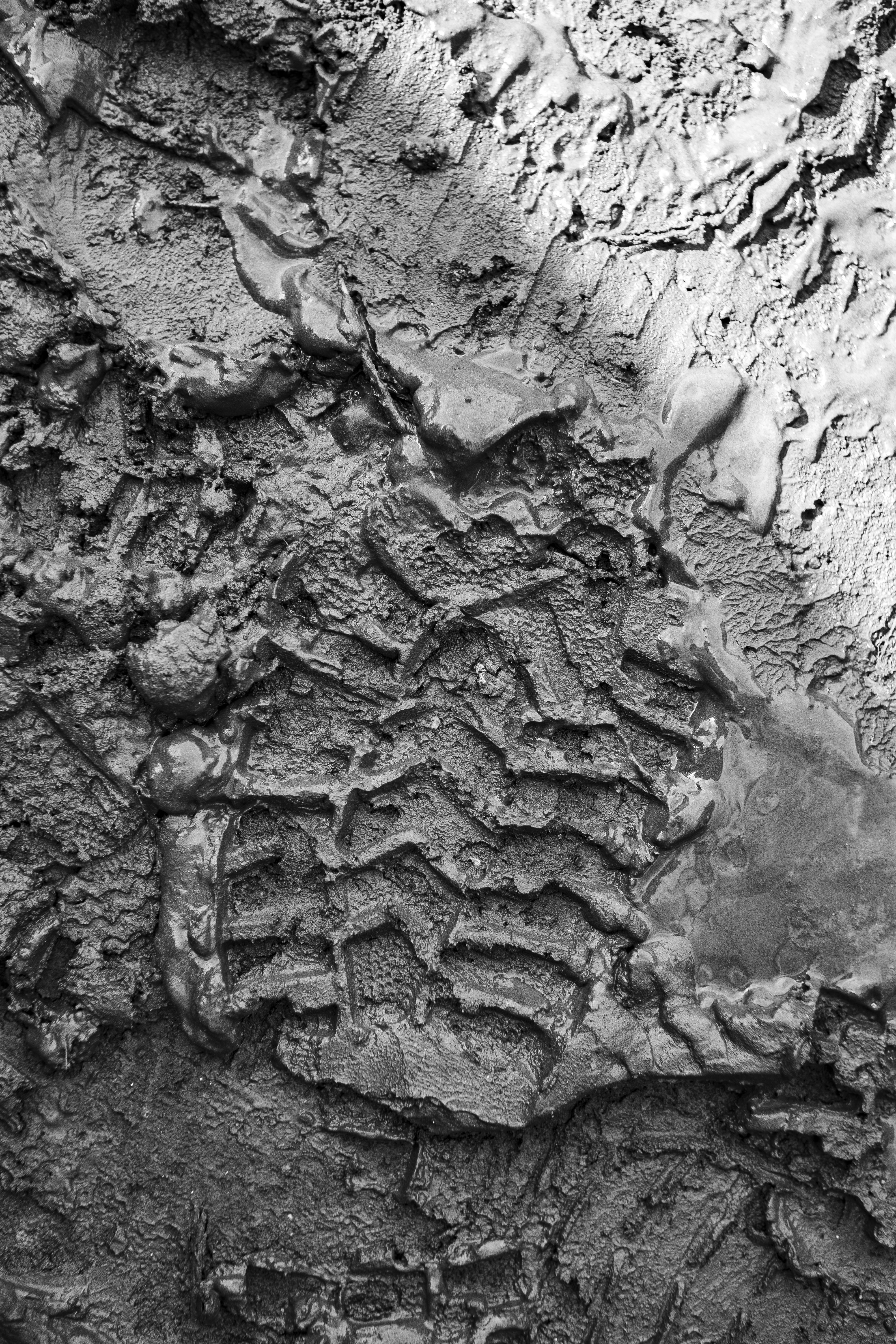 Una huella de barro | Fuente: Pexels