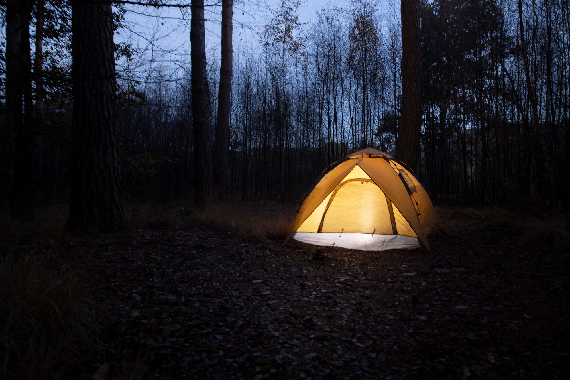 Un campamento de noche | Fuente: Freepik