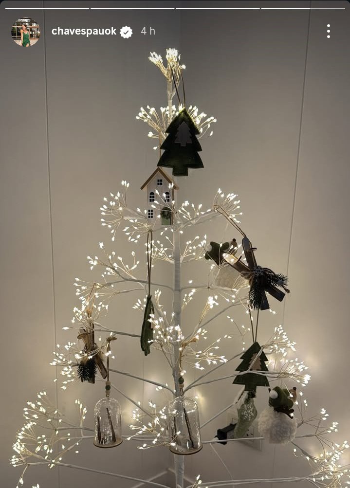 El árbol de Navidad de Paula Chaves | Fuente: Instagram/chavespauok