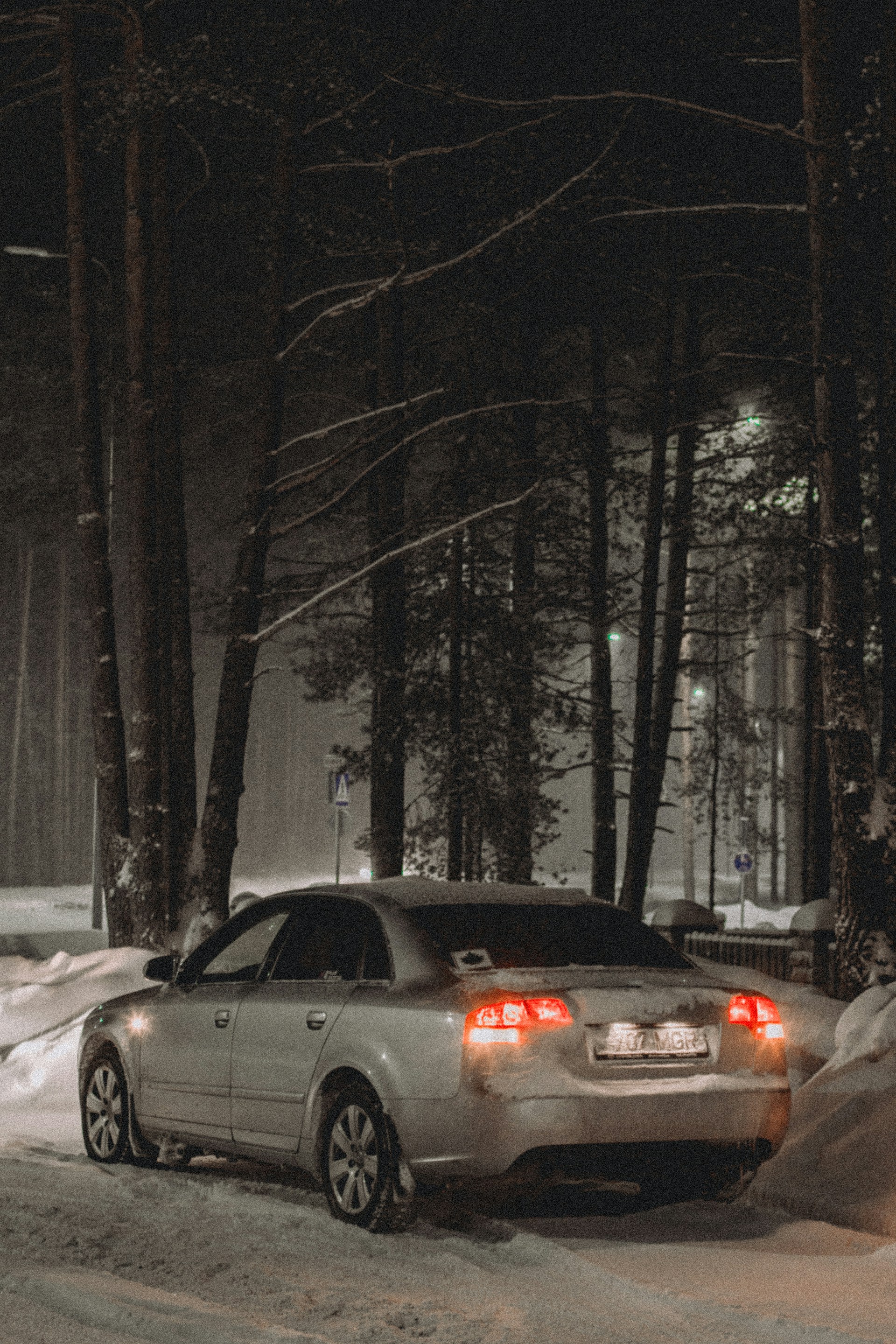 Un automóvil en el bosque en una tarde nevada | Fuente: Unsplash