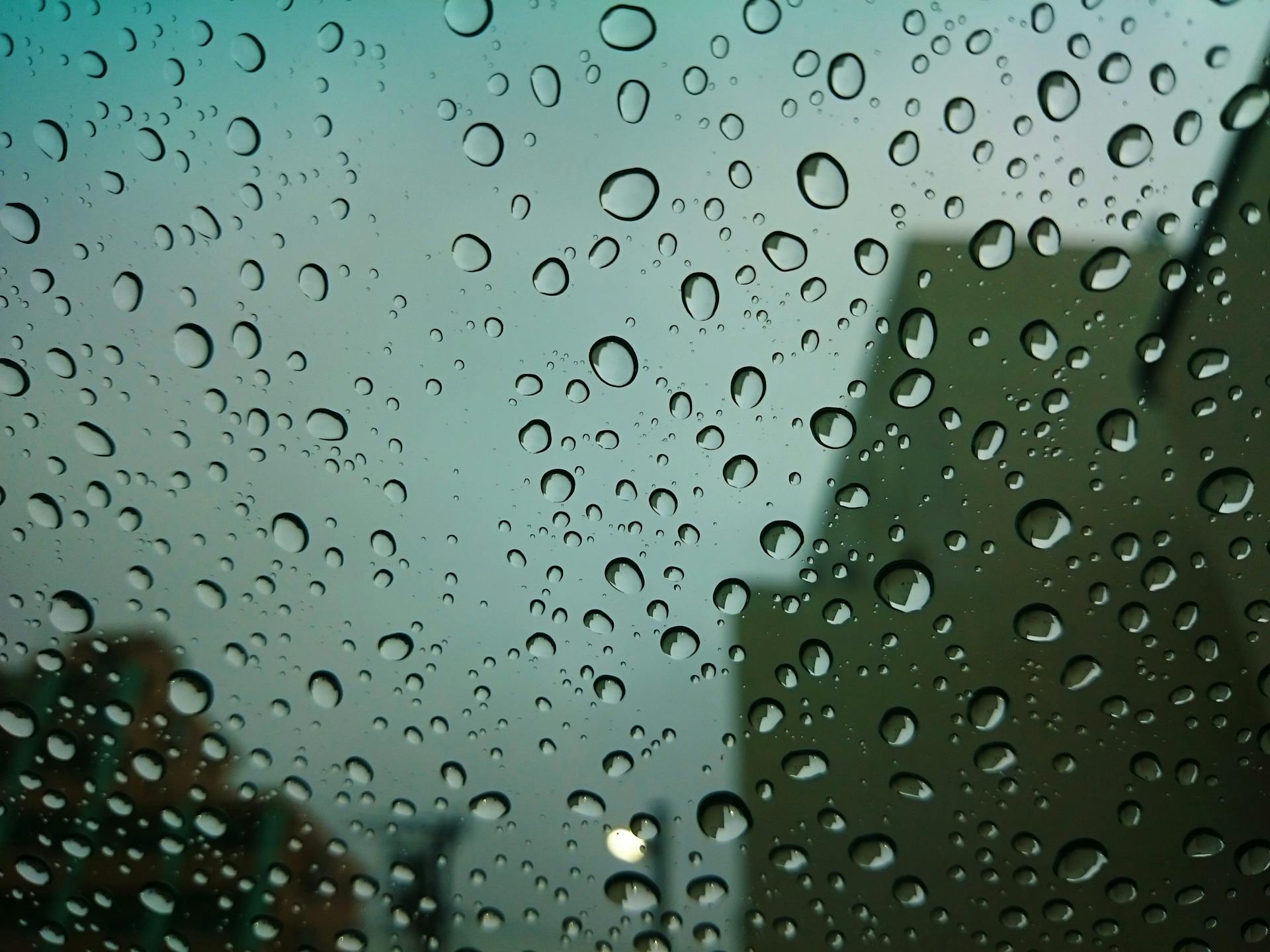 Gotas de lluvia en una ventana | Fuente: Pexels