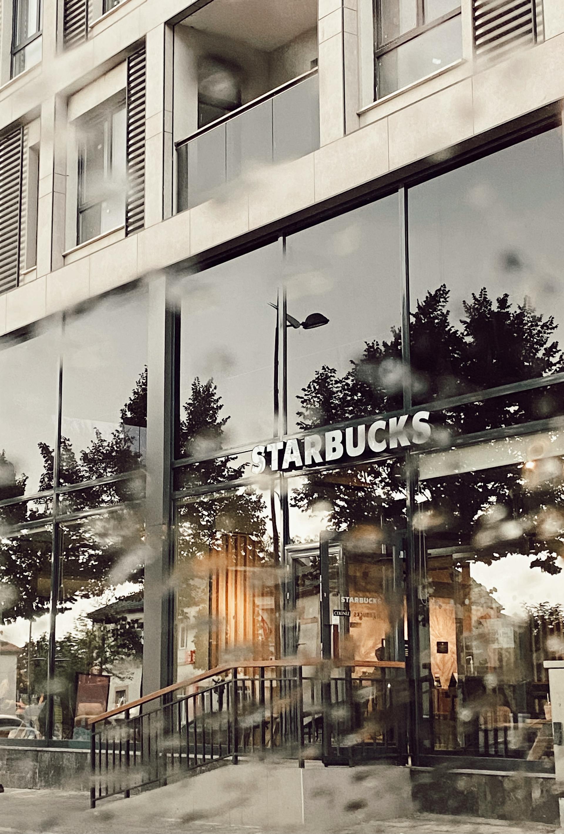 Una cafetería con árboles reflejados en las ventanas | Fuente: Pexels