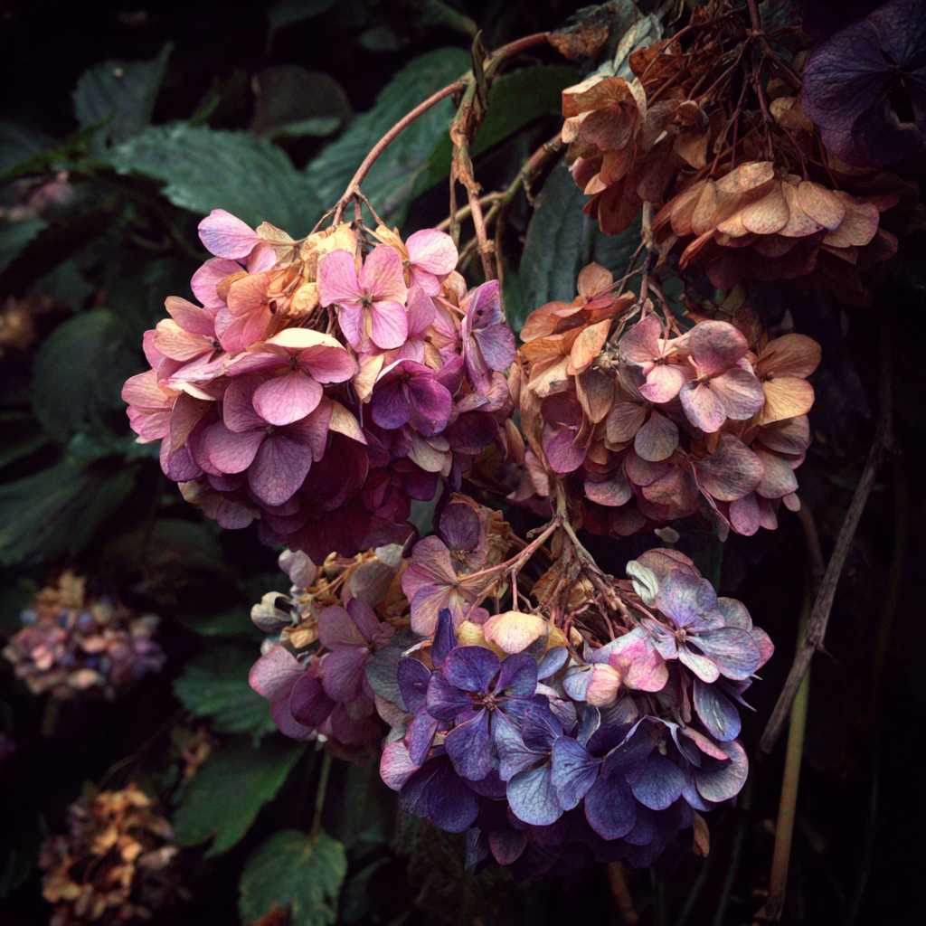 Flores marchitas en un jardín | Fuente: Midjourney