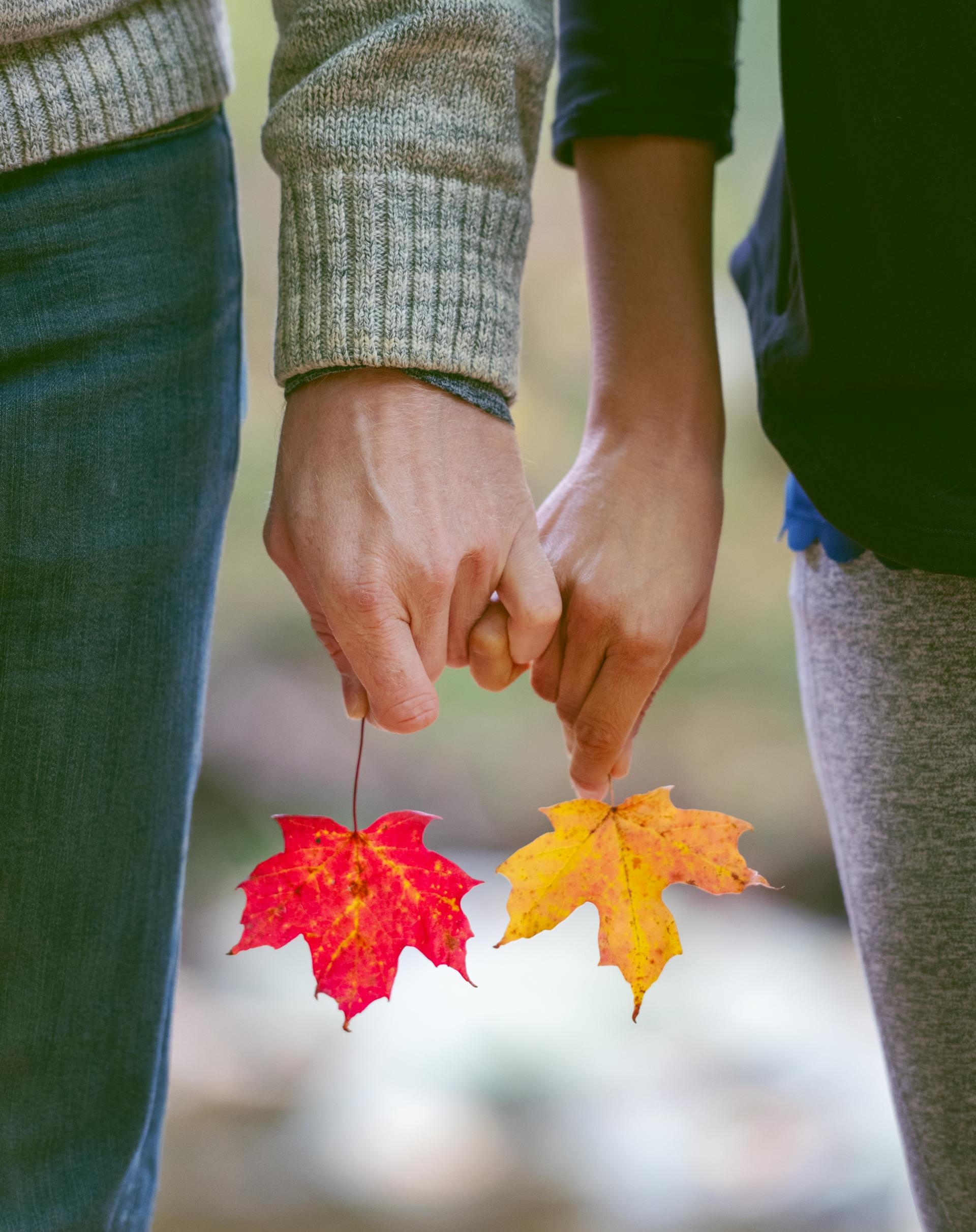 Una pareja sujetando hojas de otoño con sus deditos entrelazados | Fuente: Pexels