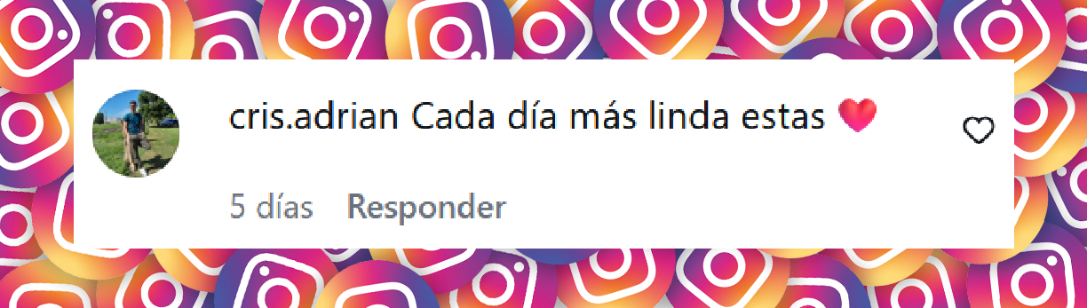 Comentario de una persona sobre la apariencia de Tamara Báez tras su liposucción | Fuente: Instagram/tamibaez222