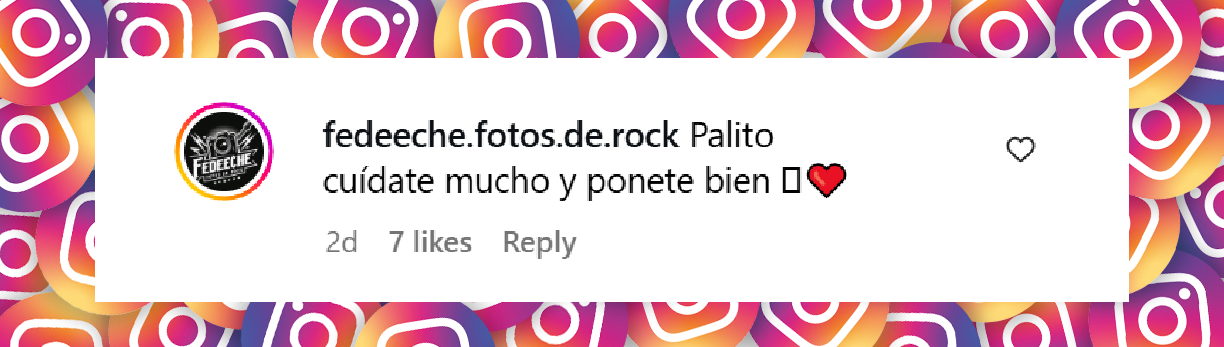 Mensaje de un seguidor sobre la salud de Palito Ortega. | Fuente: Instagram/@palitoortegaoficial