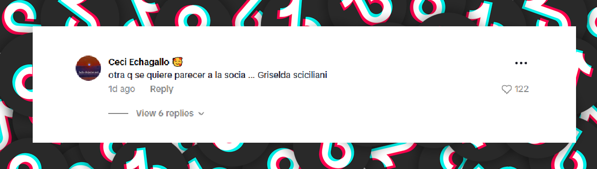 Comentario de una usuaria sobre Flor Virginia. | Fuente: TikTok/@florivigna