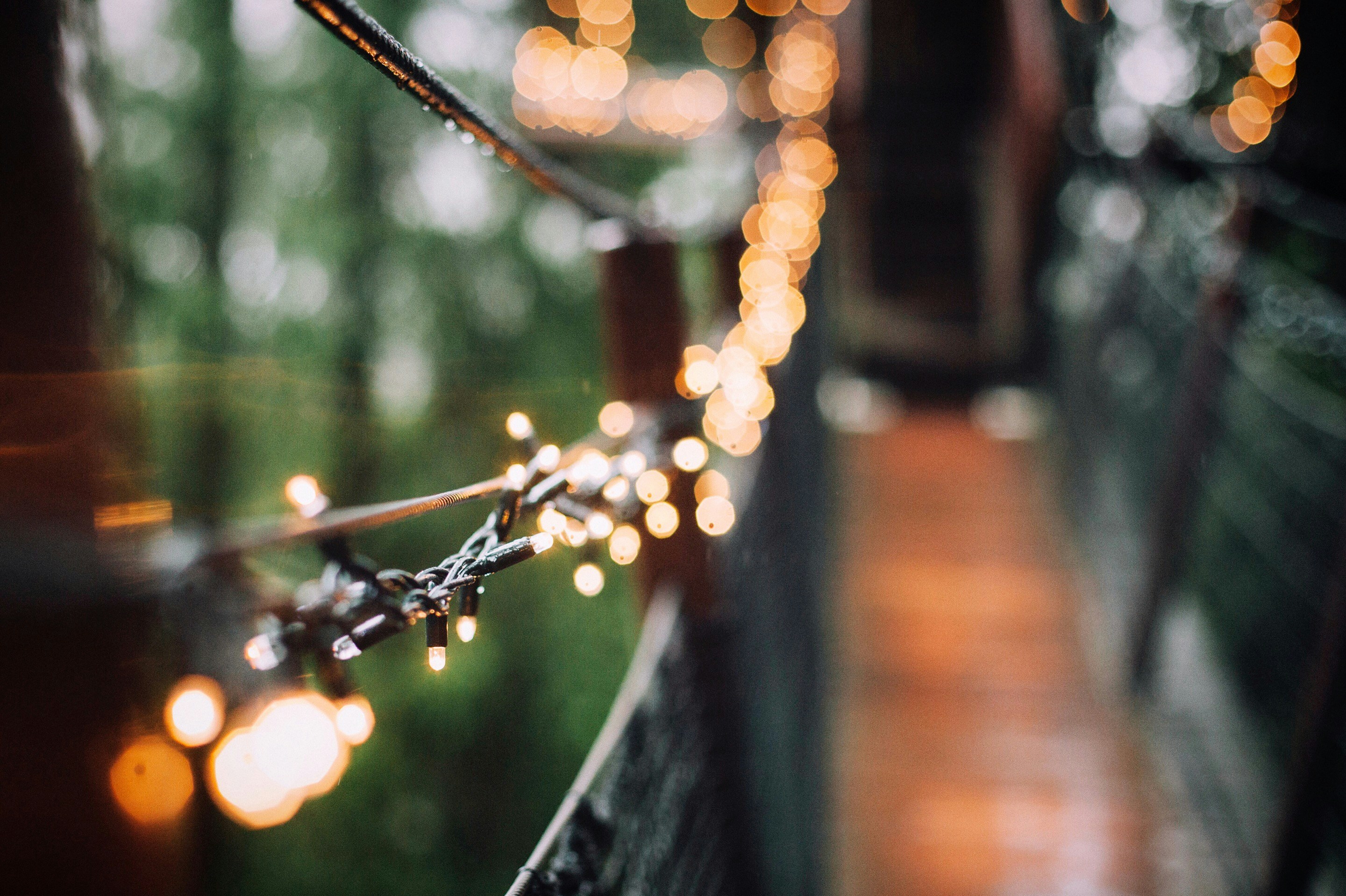 Una vista borrosa de luces de hadas | Fuente: Unsplash