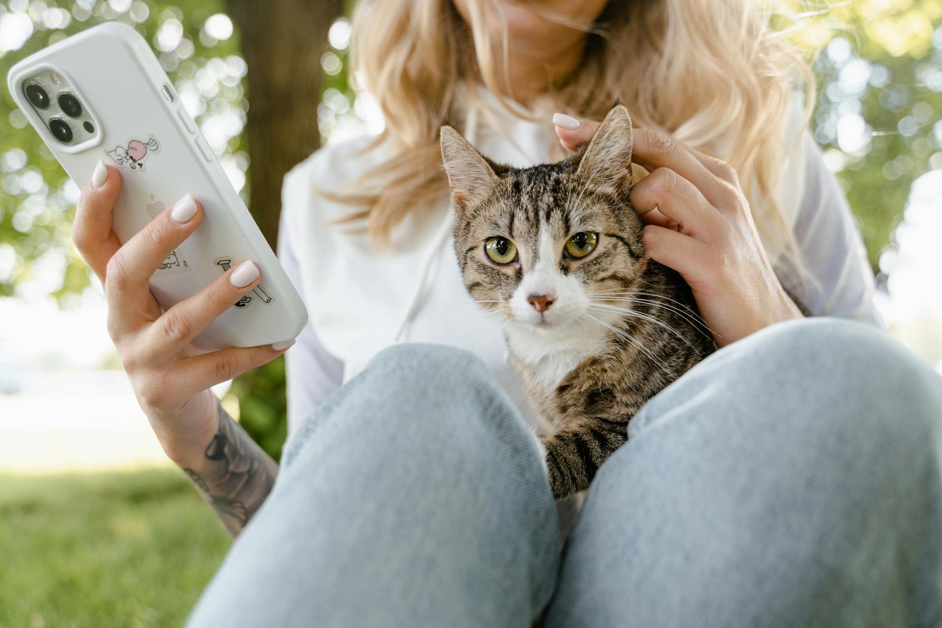 Primer plano de una mujer utilizando su smartphone mientras sostiene a su gato | Fuente: Pexels