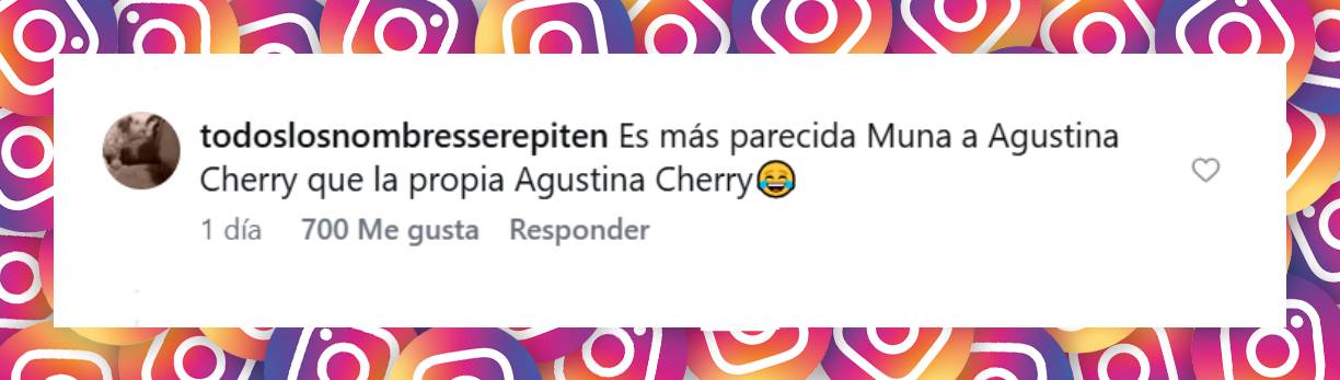 Comentario de un usuario | Fuente: Instagram/jara.tallerdepelo
