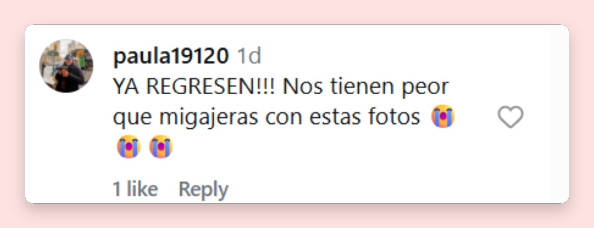 Comentario de una usuaria | Fuente: Instagram/aislinnderbez