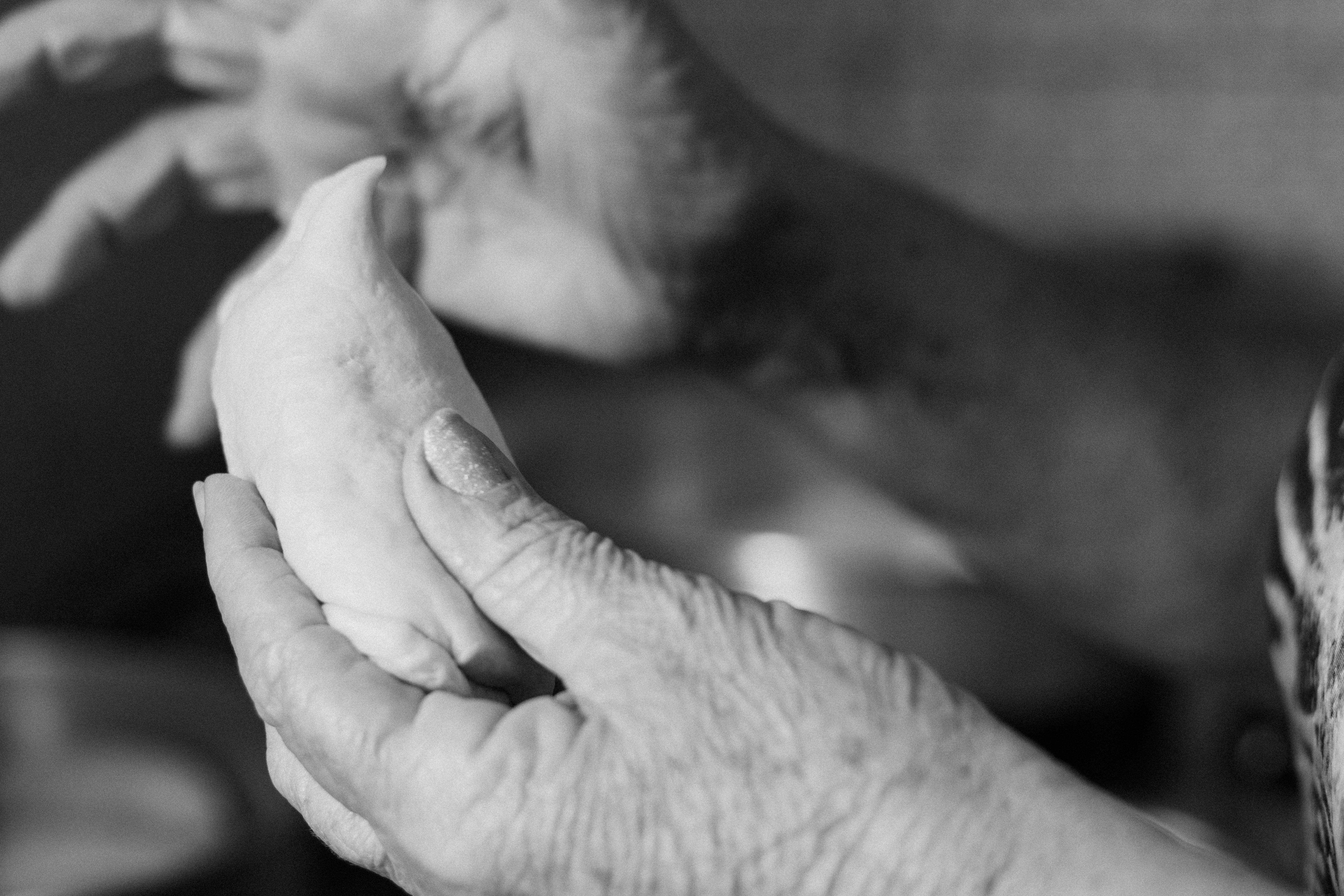 Una persona sujetando masa | Fuente: Pexels