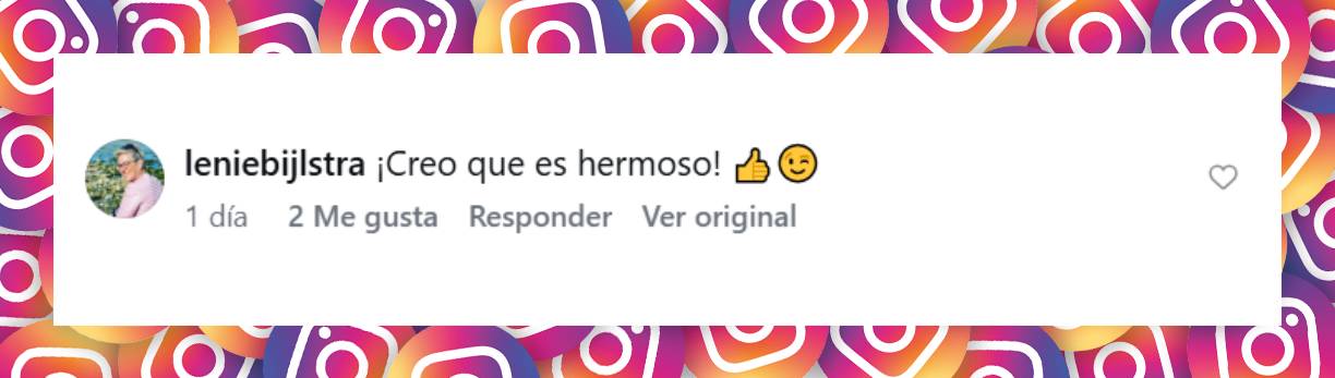 Comentario de una usuaria | Fuente: Instagram/eloisevanoranje