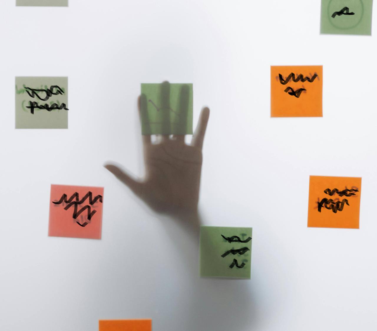 Imagen con fines ilustrativos | Foto: Pexels