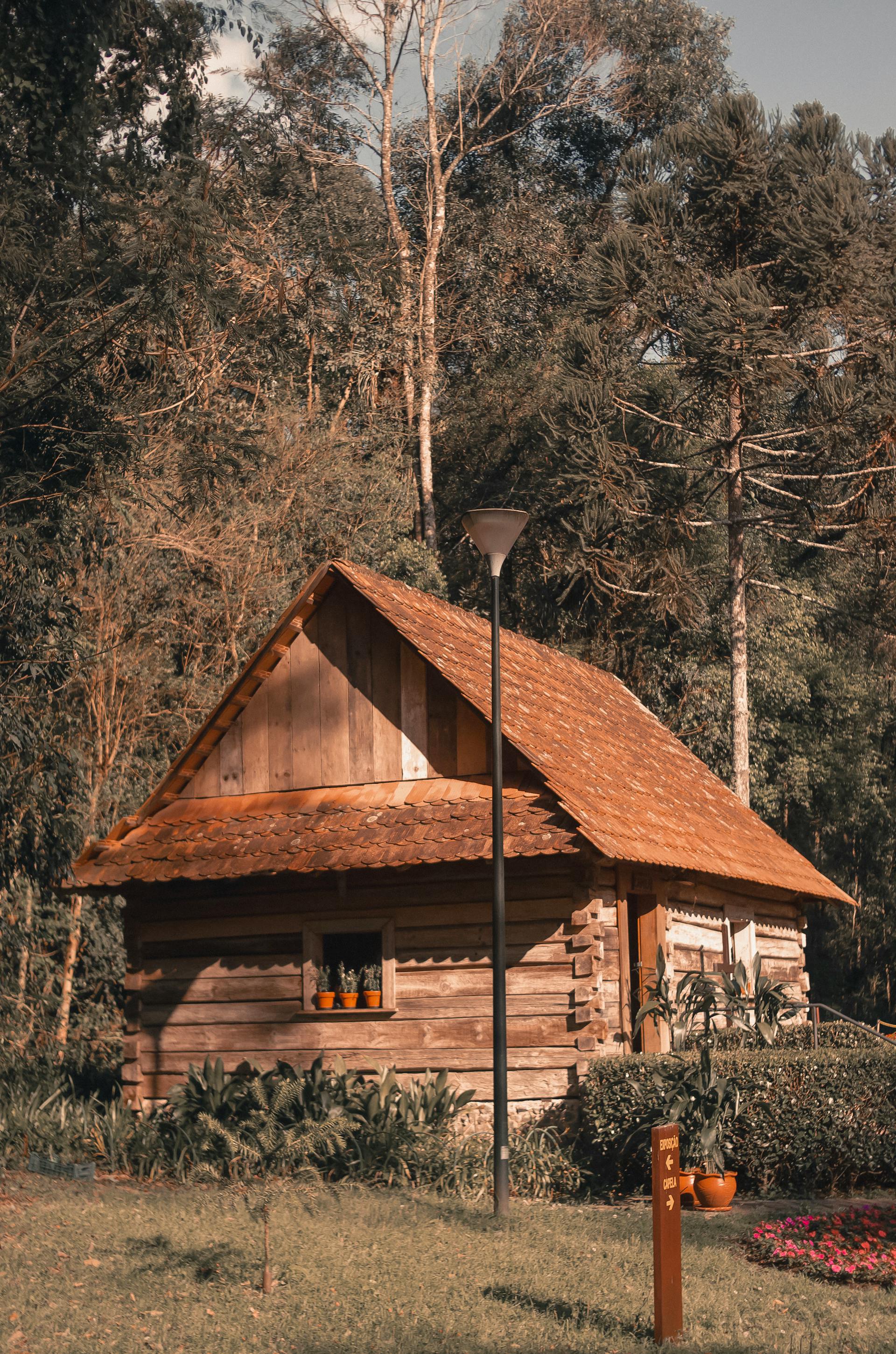 Una cabaña junto a los árboles en un entorno forestal | Fuente: Pexels