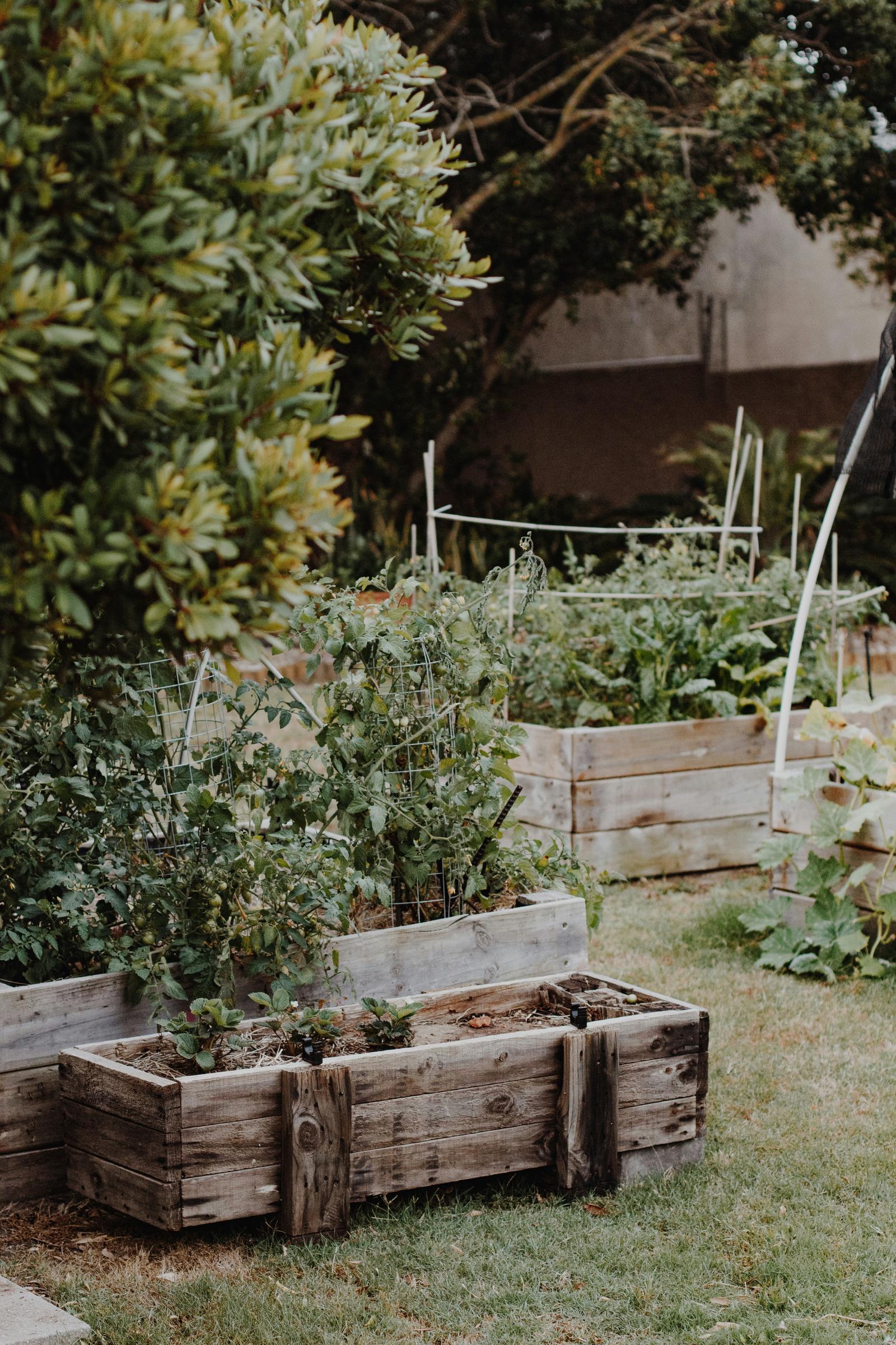 Maceteros de madera en un jardín | Fuente: Unsplash