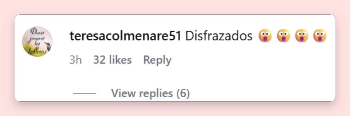 Comentario de una usuaria | Fuente: Instagram/premiosjuventud