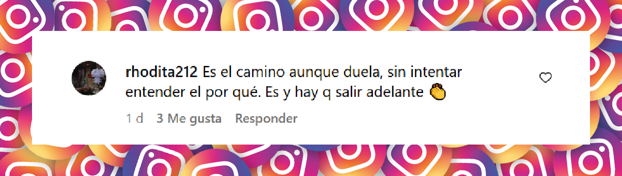 Comentario de una usuaria sobre la relación entre Itatí Cantoral y Eduardo Santamarina. | Fuente: Instagram/soycreativos