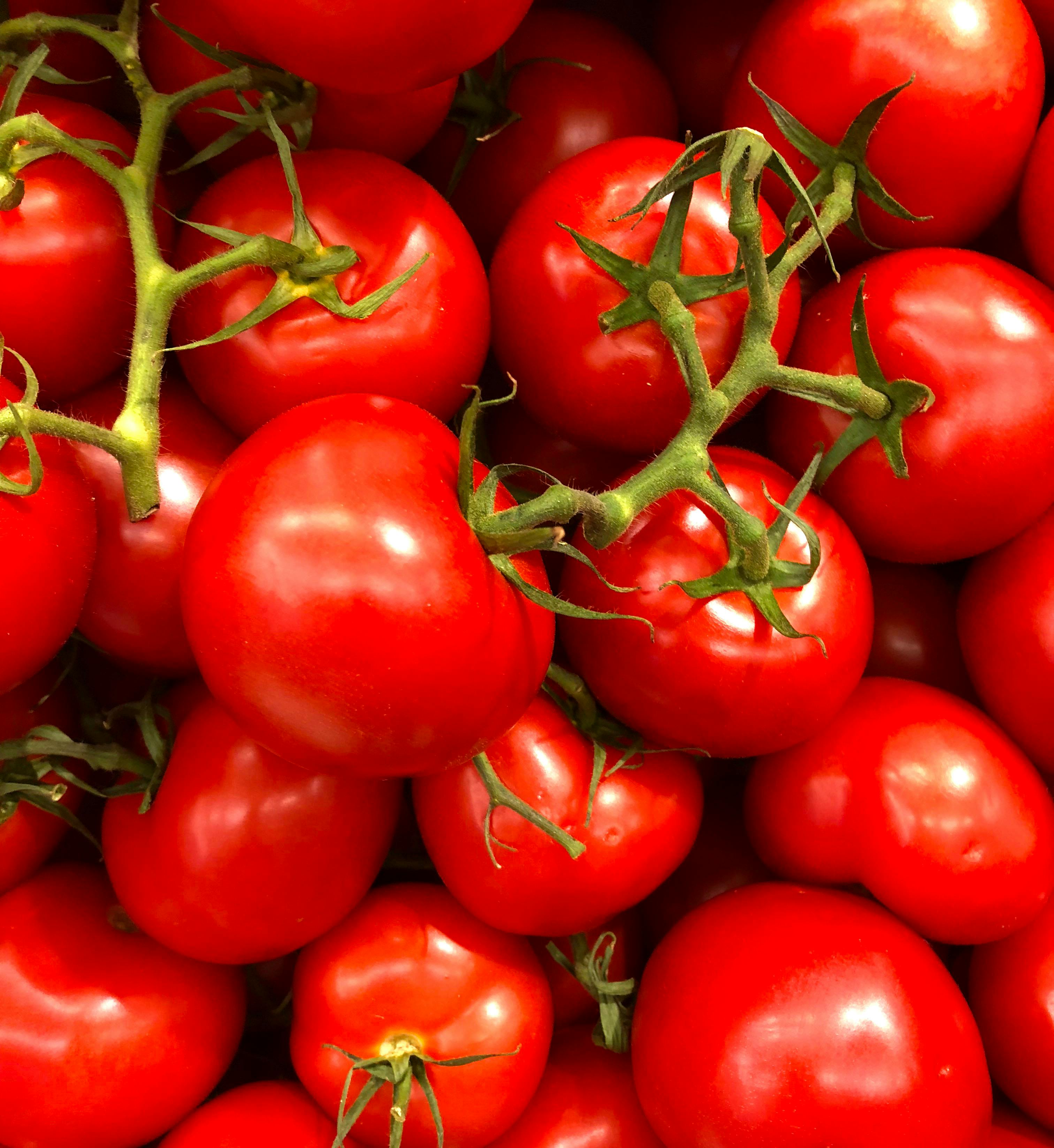 Un primer plano de tomates frescos | Fuente: Pexels