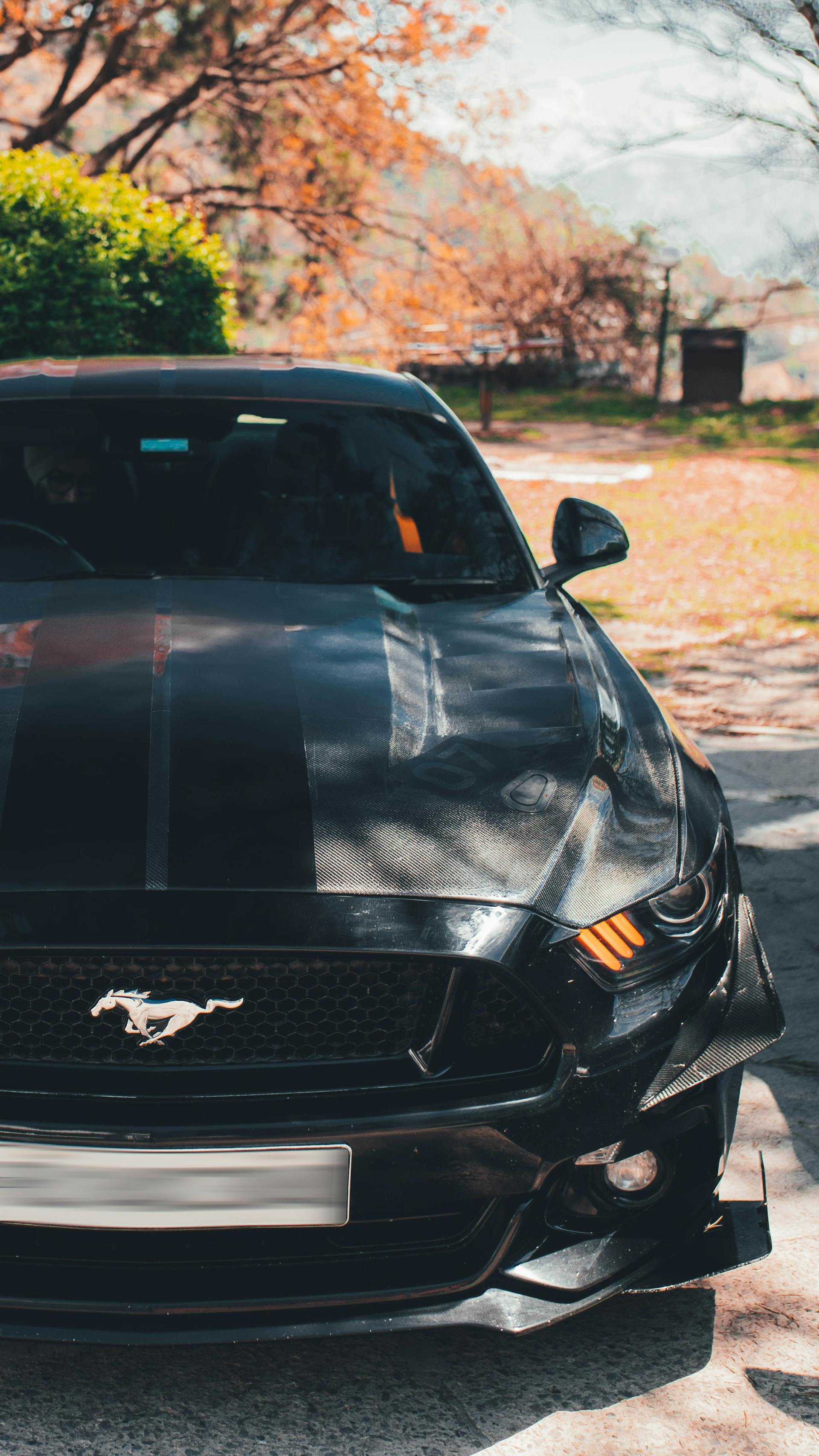 Un hombre conduciendo un automóvil | Fuente: Pexels
