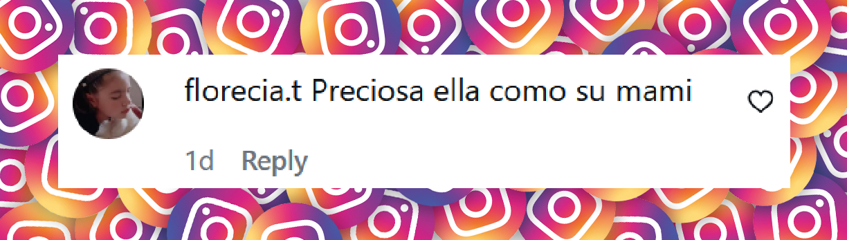 Comentario de una usuaria sobre la publicación de Luisana Lopilato felicitando a su hija Vida por su cumpleaños número 7 | Fuente: Instagram/luisanalopilato