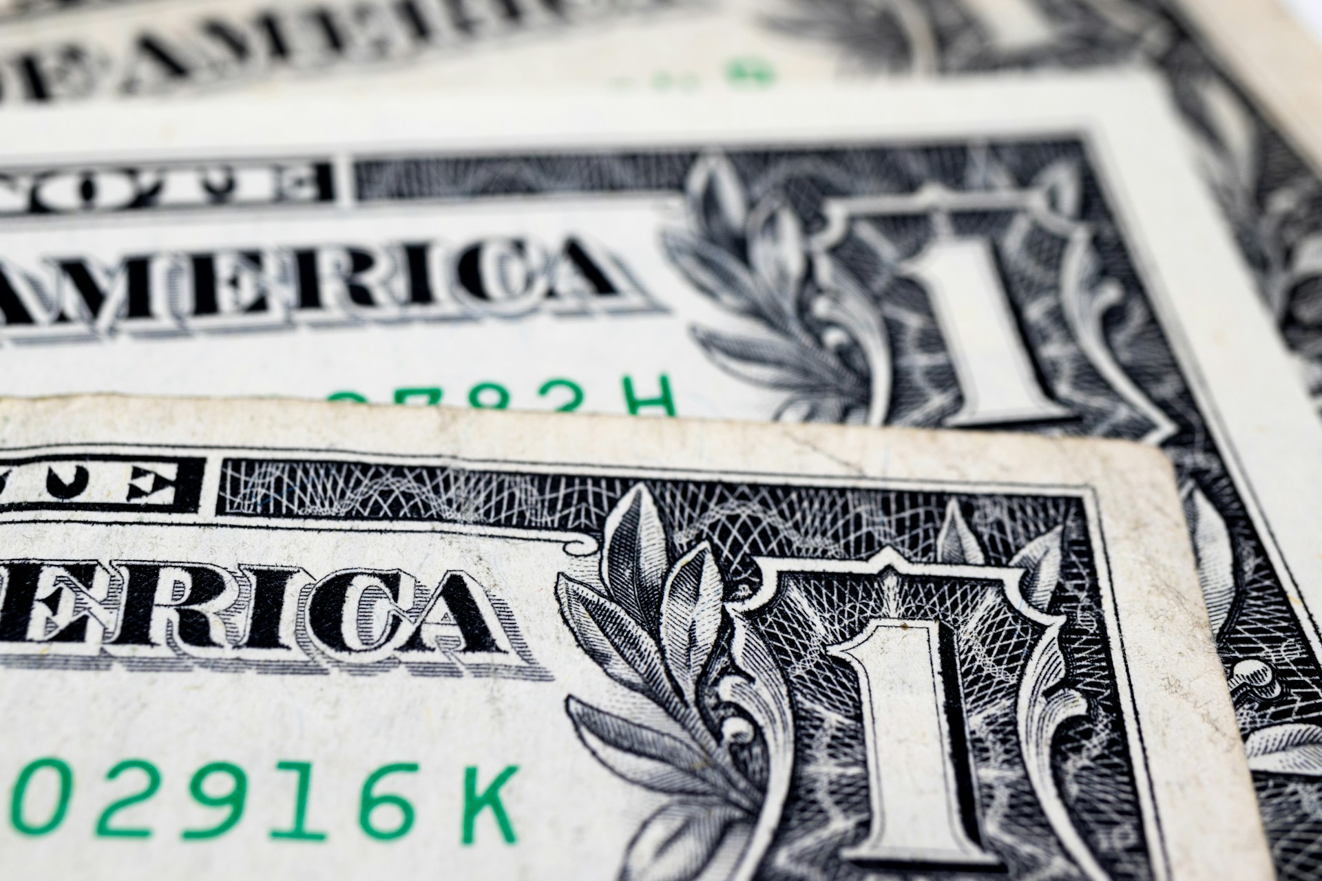 Primer plano de billetes de dólar | Fuente: Unsplash