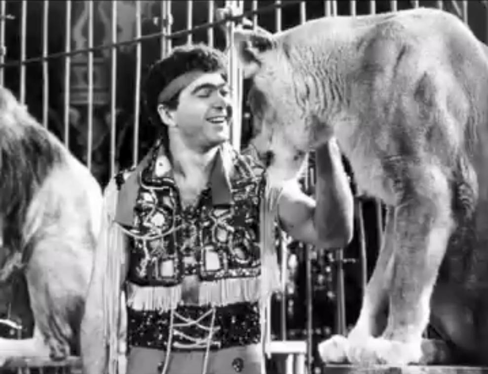 Ángel Cristo tocando a un león | Fuente: Instagram/angelcristojr