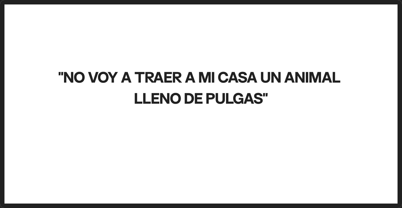Imagen con fines ilustrativos | Foto: Morelimedia