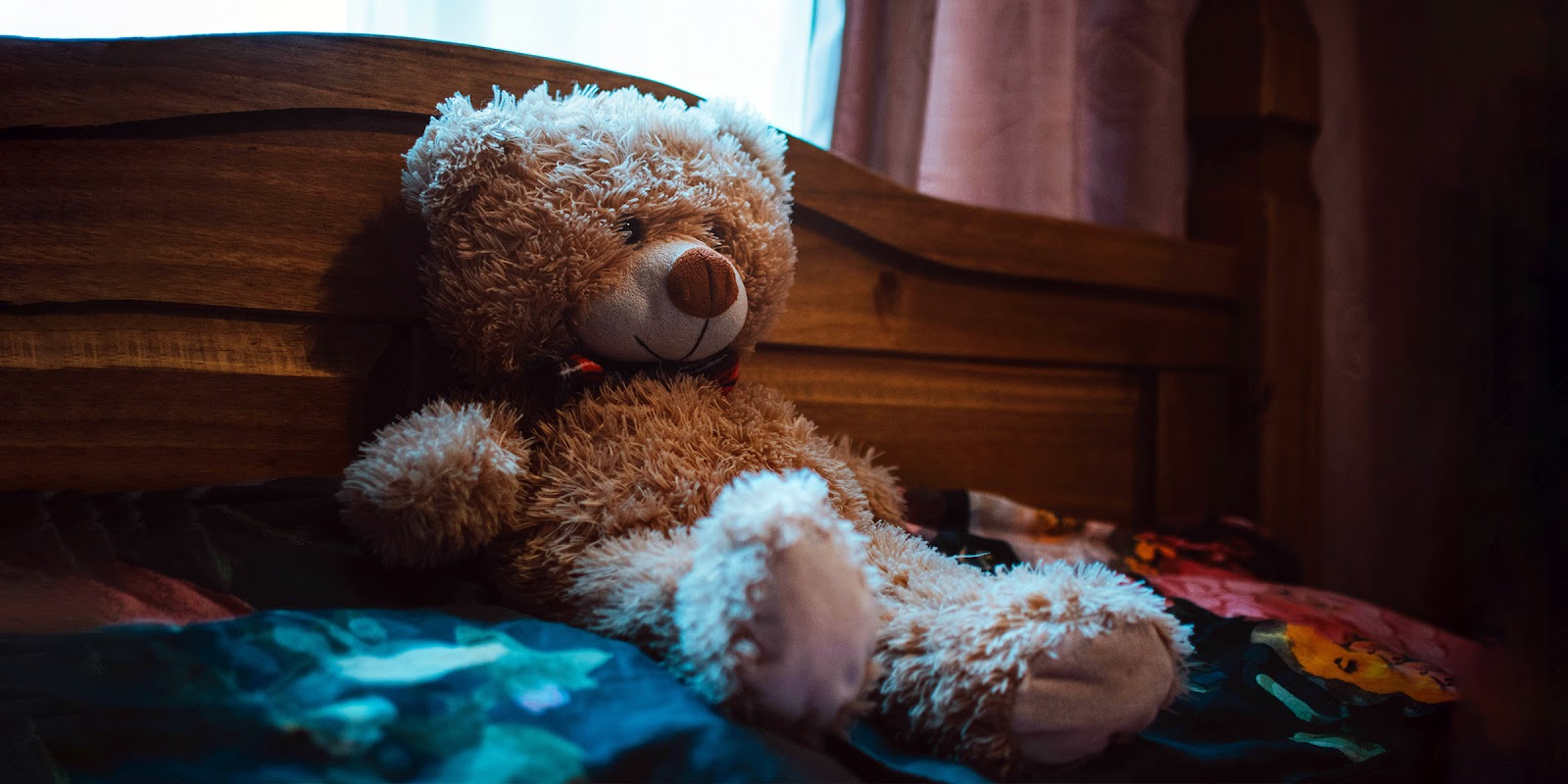 Un oso de peluche | Fuente: Pexels
