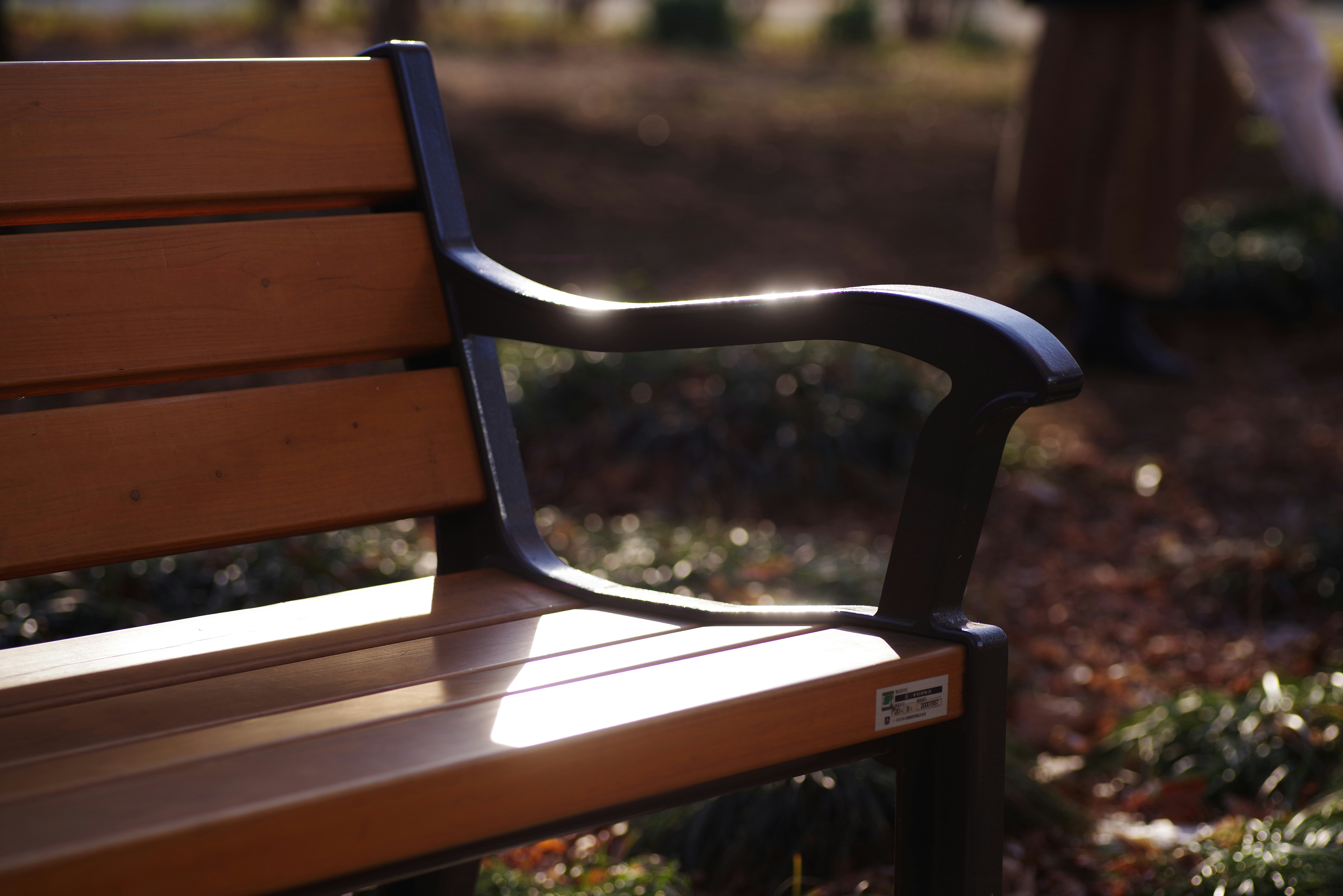 Un banco en un parque | Fuente: Unsplash