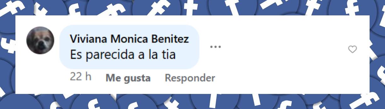 Comentario de una usuaria sobre la hija de Marina Calabró | Fuente: Facebook/Noticiasinsolitass