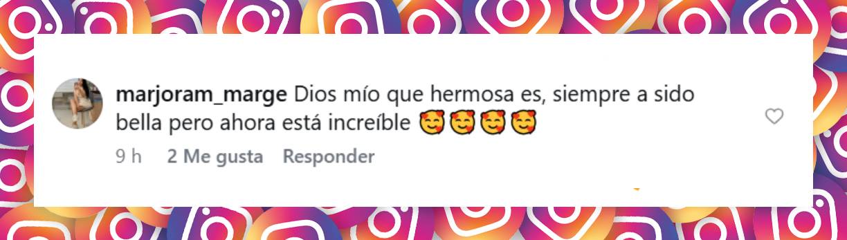 Comentario de una usuaria | Fuente: Instagram/tvynovelasmex