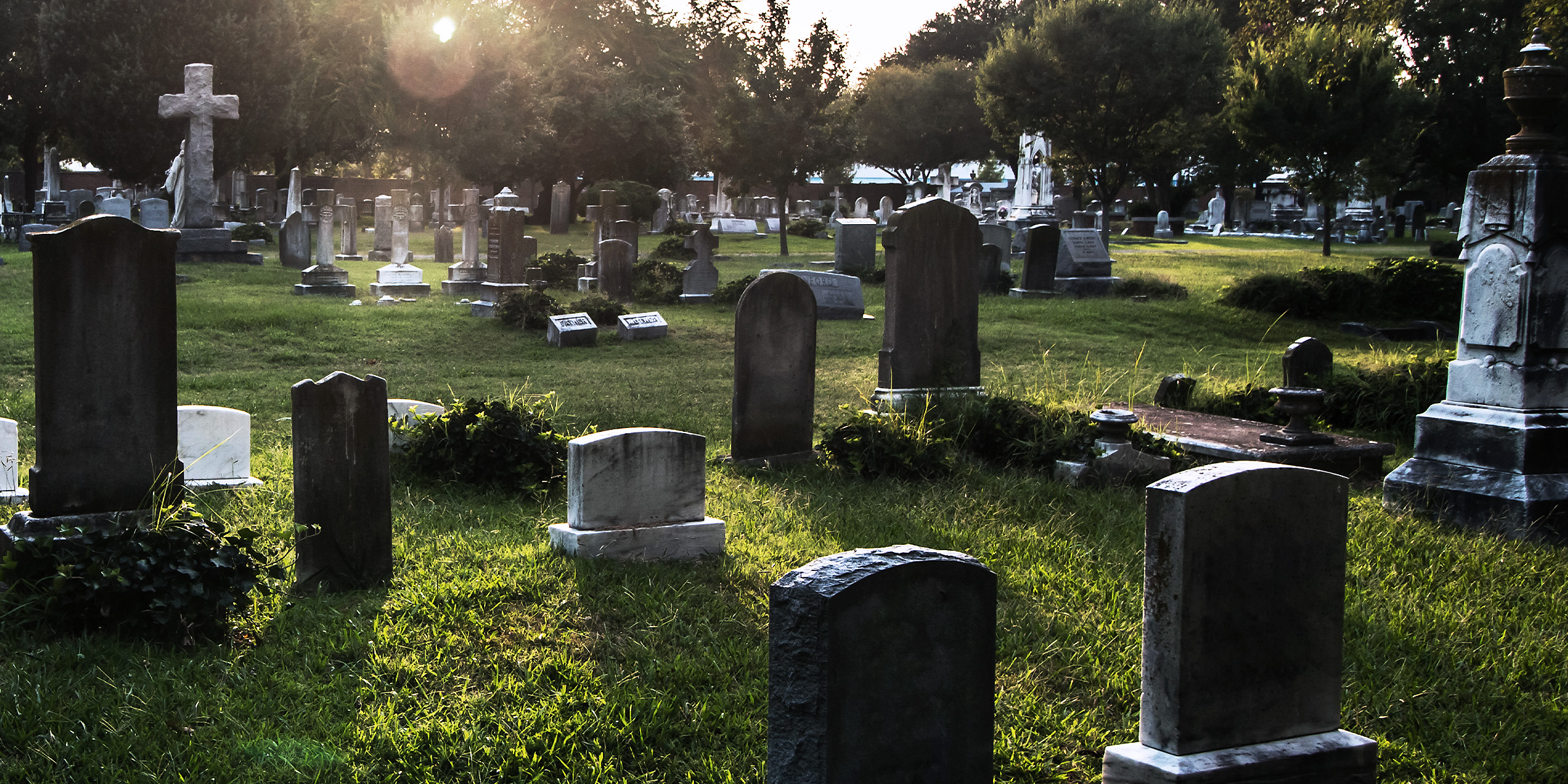Lápidas en un cementerio | Fuente: Shutterstock