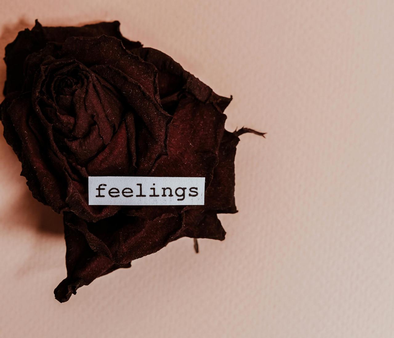 Imagen con fines ilustrativos | Foto: Pexels