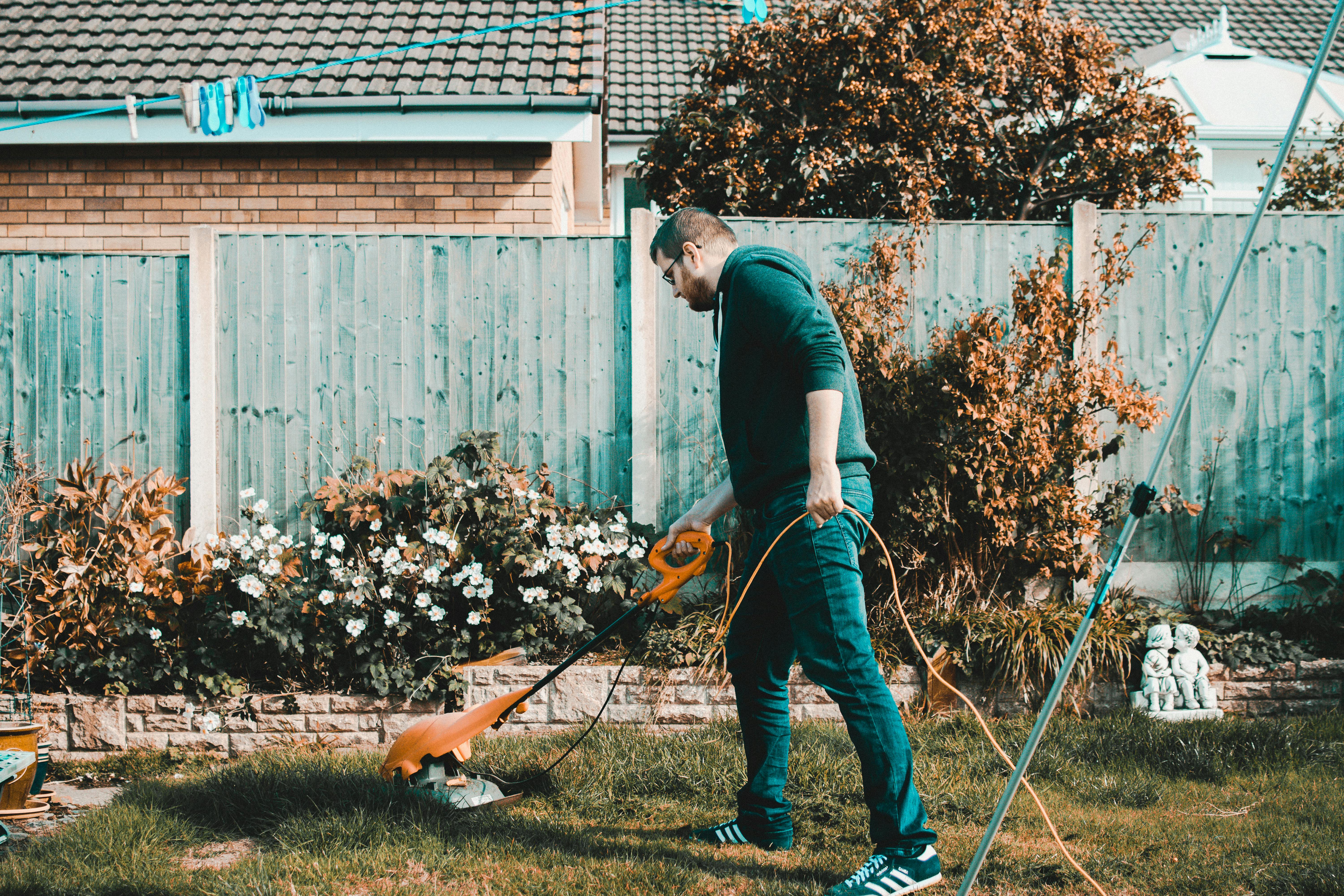 Imagen con fines ilustrativos | Foto: Pexels