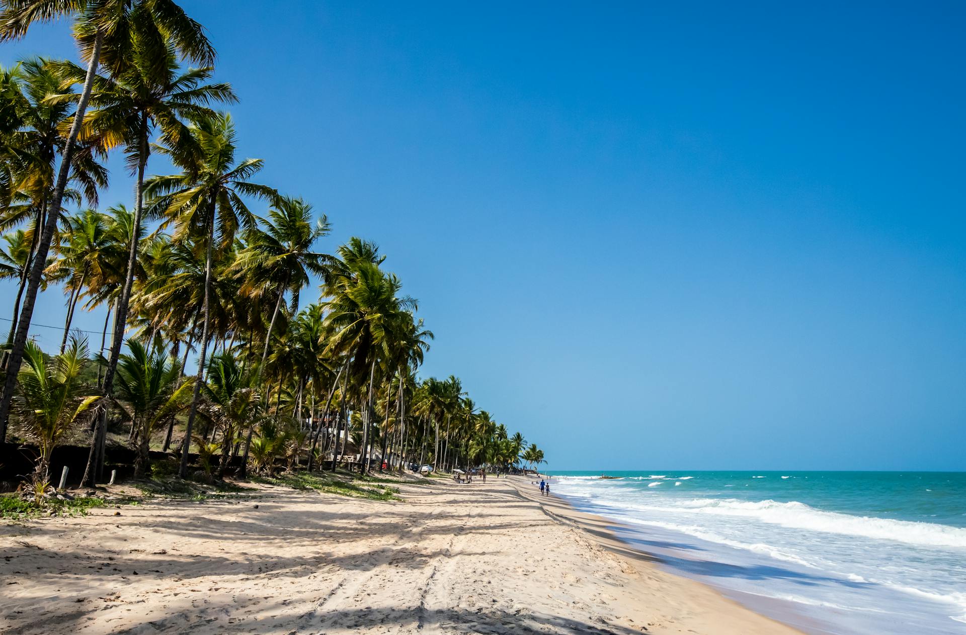 Una playa | Fuente: Pexels