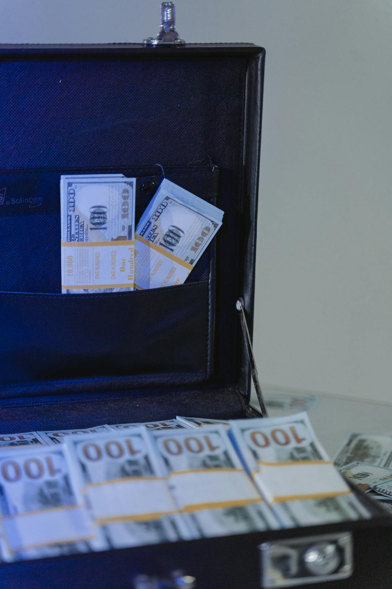 Billetes de dólar en un maletín | Fuente: Pexels
