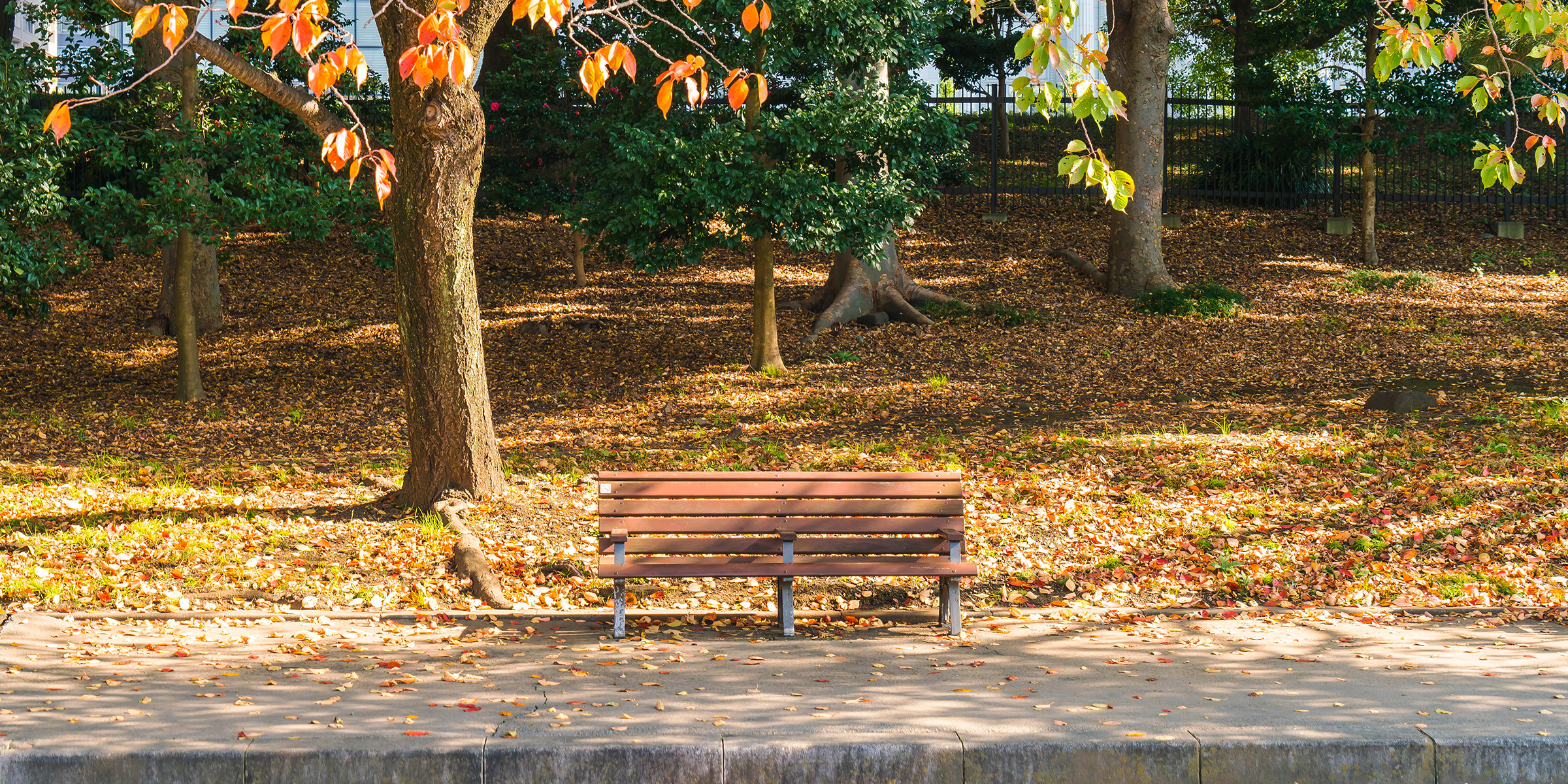 Un banco en un parque durante la estación otoñal | Fuente: Freepik