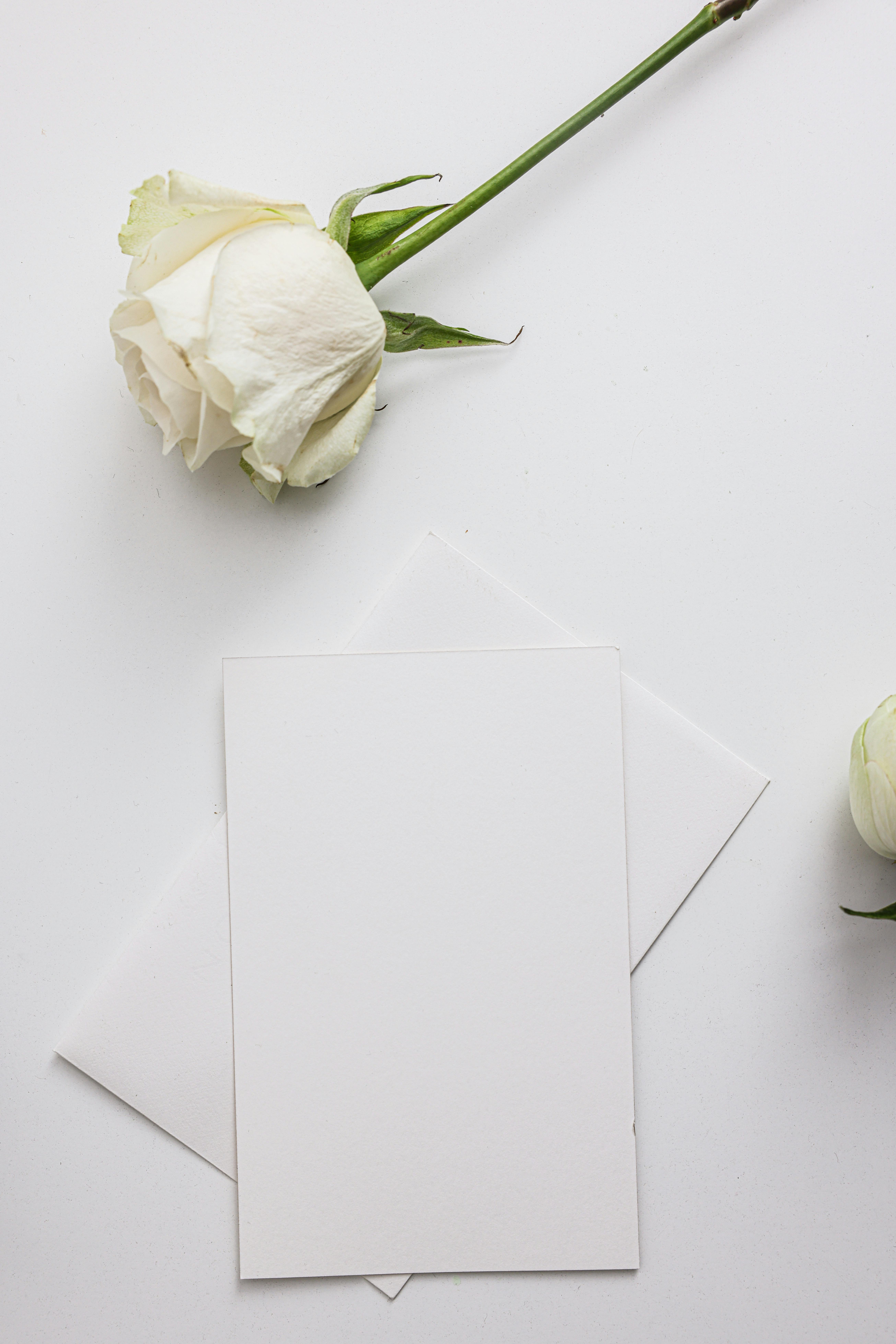 Sobres blancos sobre una mesa | Fuente: Pexels