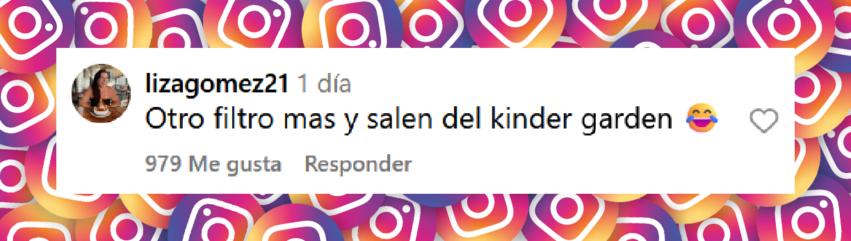 Comentario de una usuaria sobre la fotografía publicada por Laura Zapata festejando el cumpleaños de Verónica Castro | Fuente: Instagram/laurazapataoficial