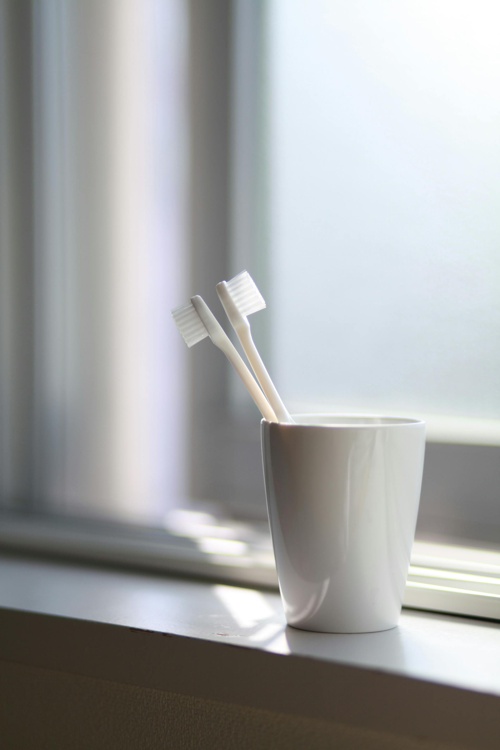 Cepillos de dientes en una taza | Fuente: Pexels