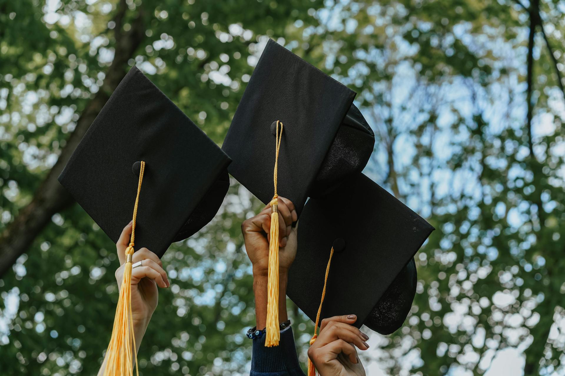 Gente sujetando birretes de graduación | Fuente: Pexels