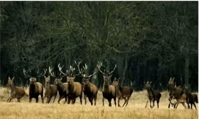 La imagen que Candela Márquez habría publicado | Fuente: YouTube/ElGordoyLaFlaca