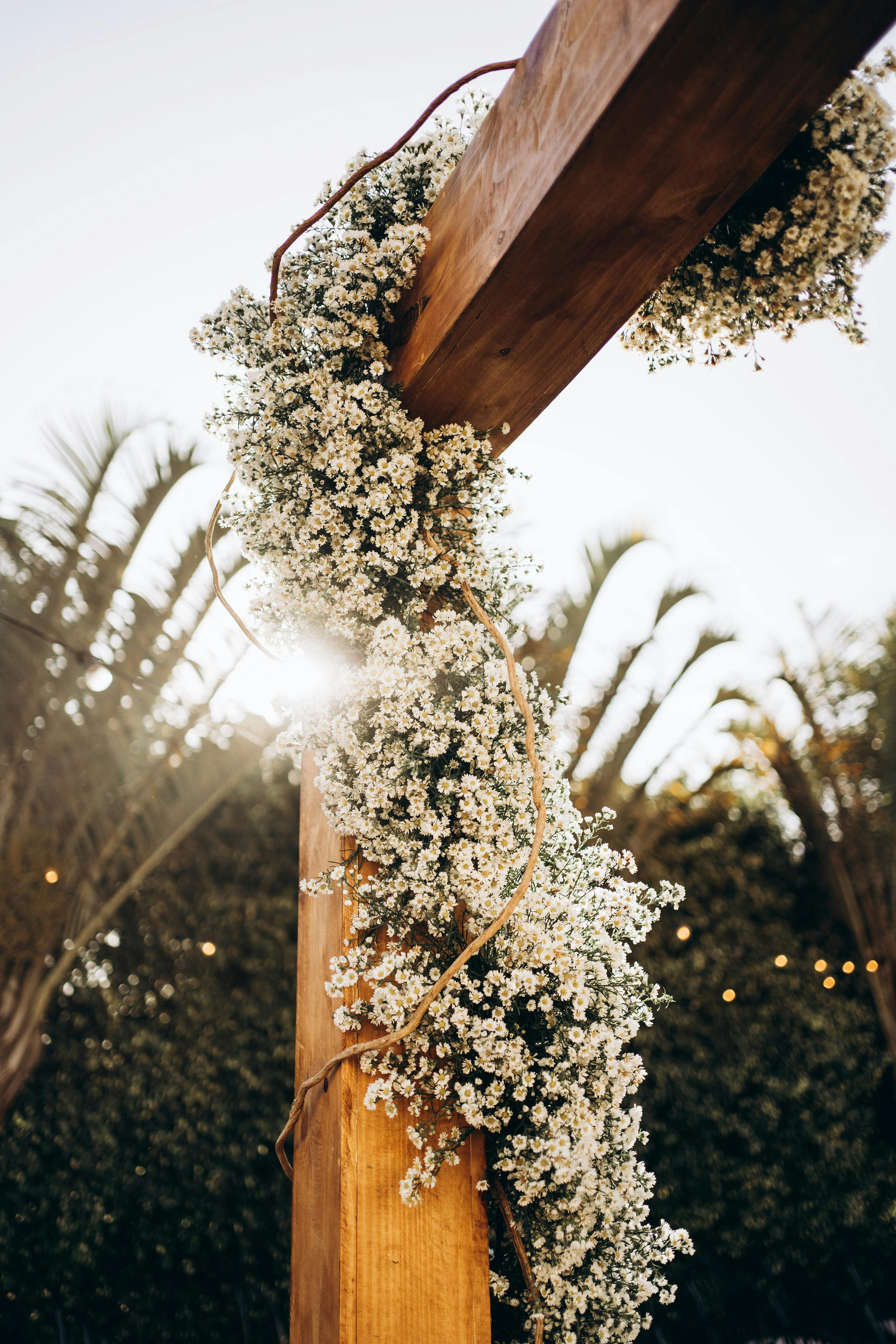 Un arco decorado | Fuente: Pexels