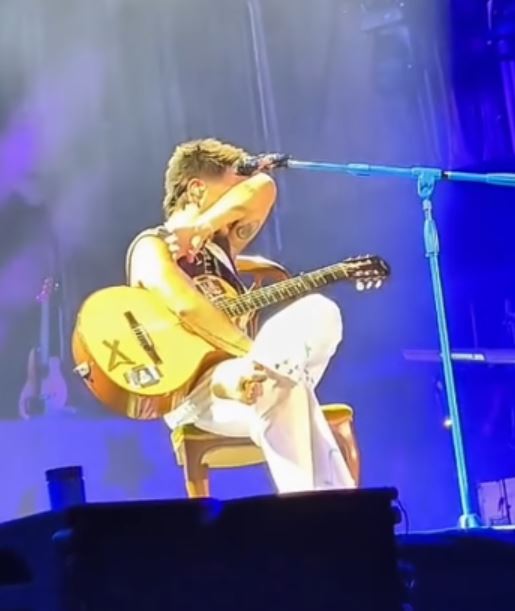 Camilo en un concierto en España | Fuente: Facebook.com/saleelsoltv