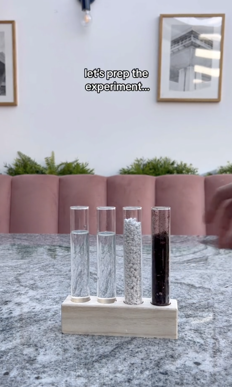 Un tubo de ensayo lleno de tierra húmeda en un clip subido el 5 de octubre de 2024 | Fuente: TikTok/thelittlelifelately