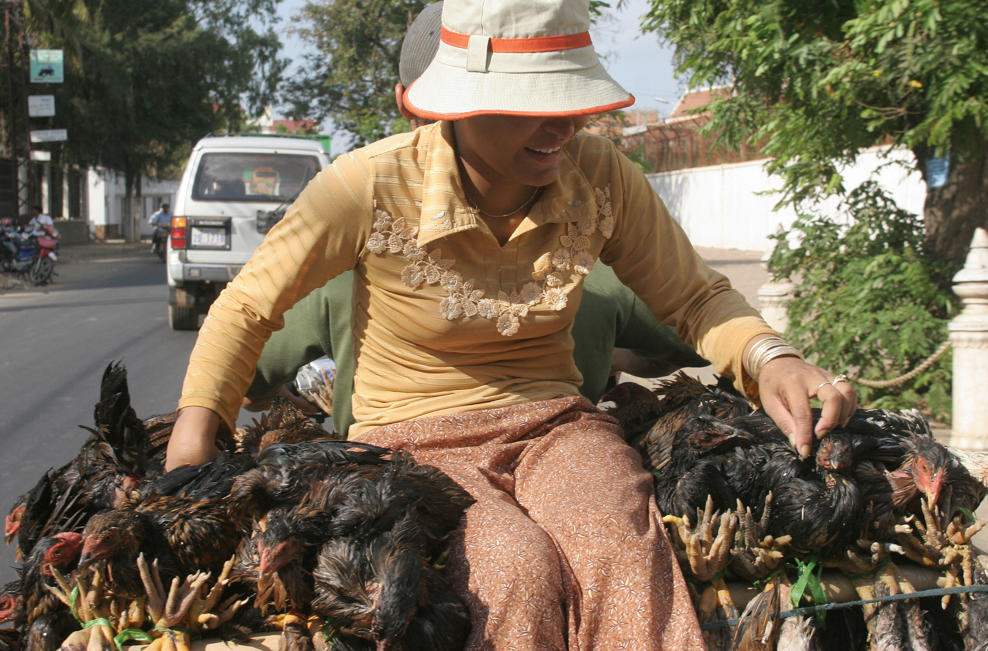 Una mujer sentada con gallinas en la parte trasera de una motocicleta. | Fuente: Getty Images