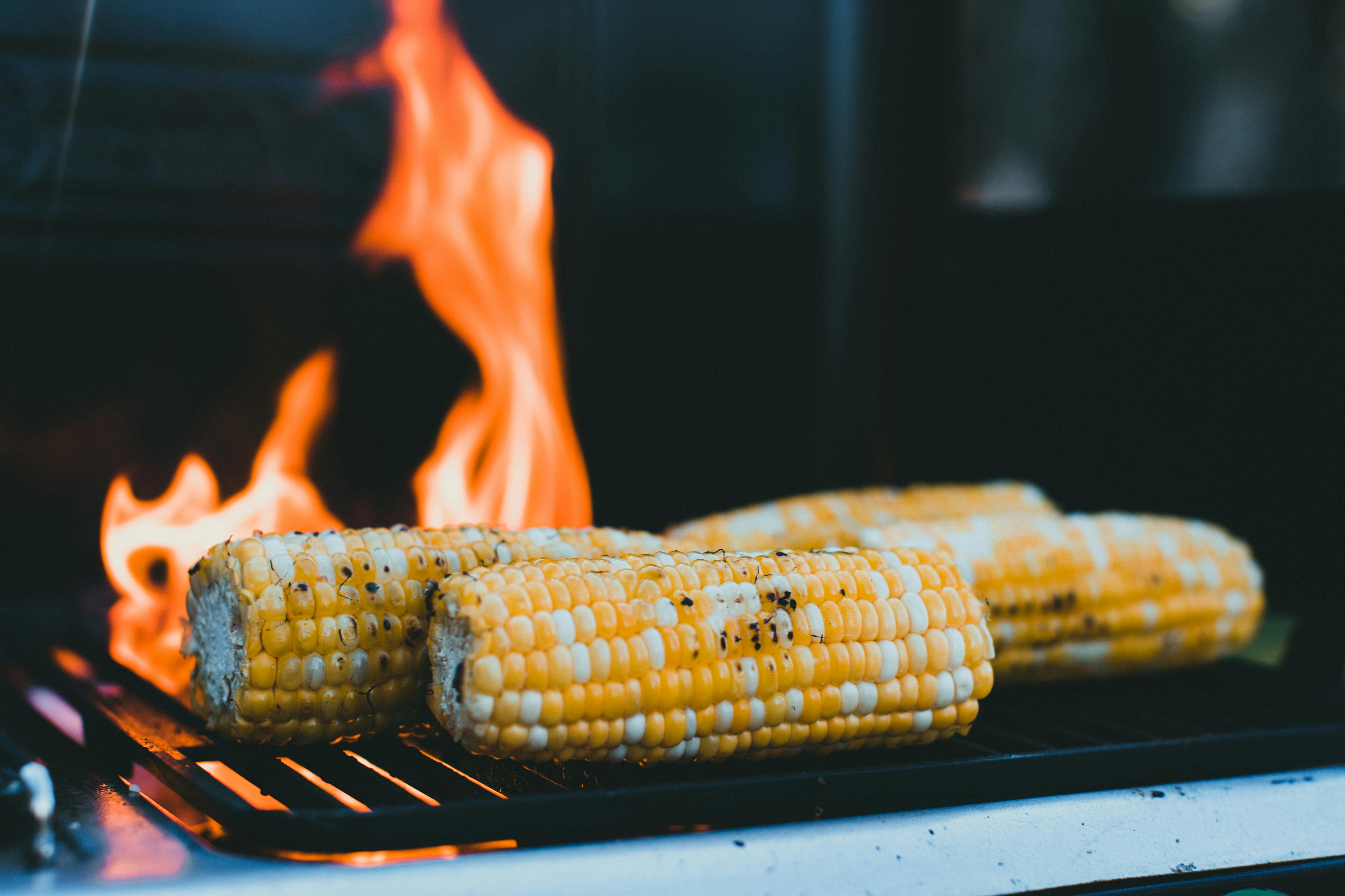Maíz a la parrilla | Fuente: Pexels